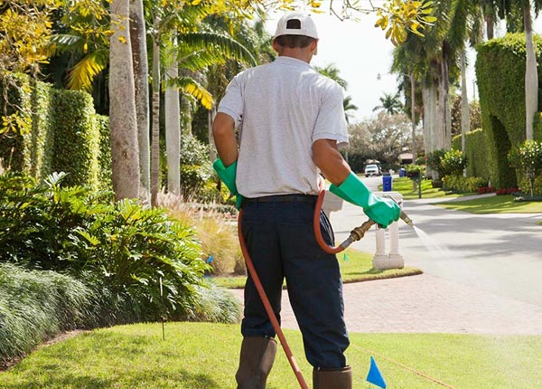 About Stafford KS Pest Control